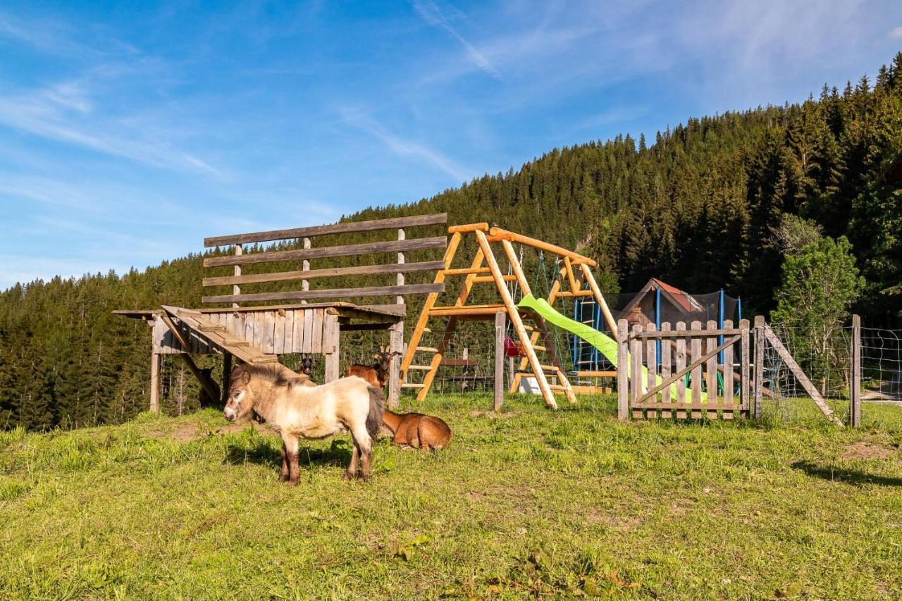 Bucheggerhof Apartamento Schladming Exterior foto